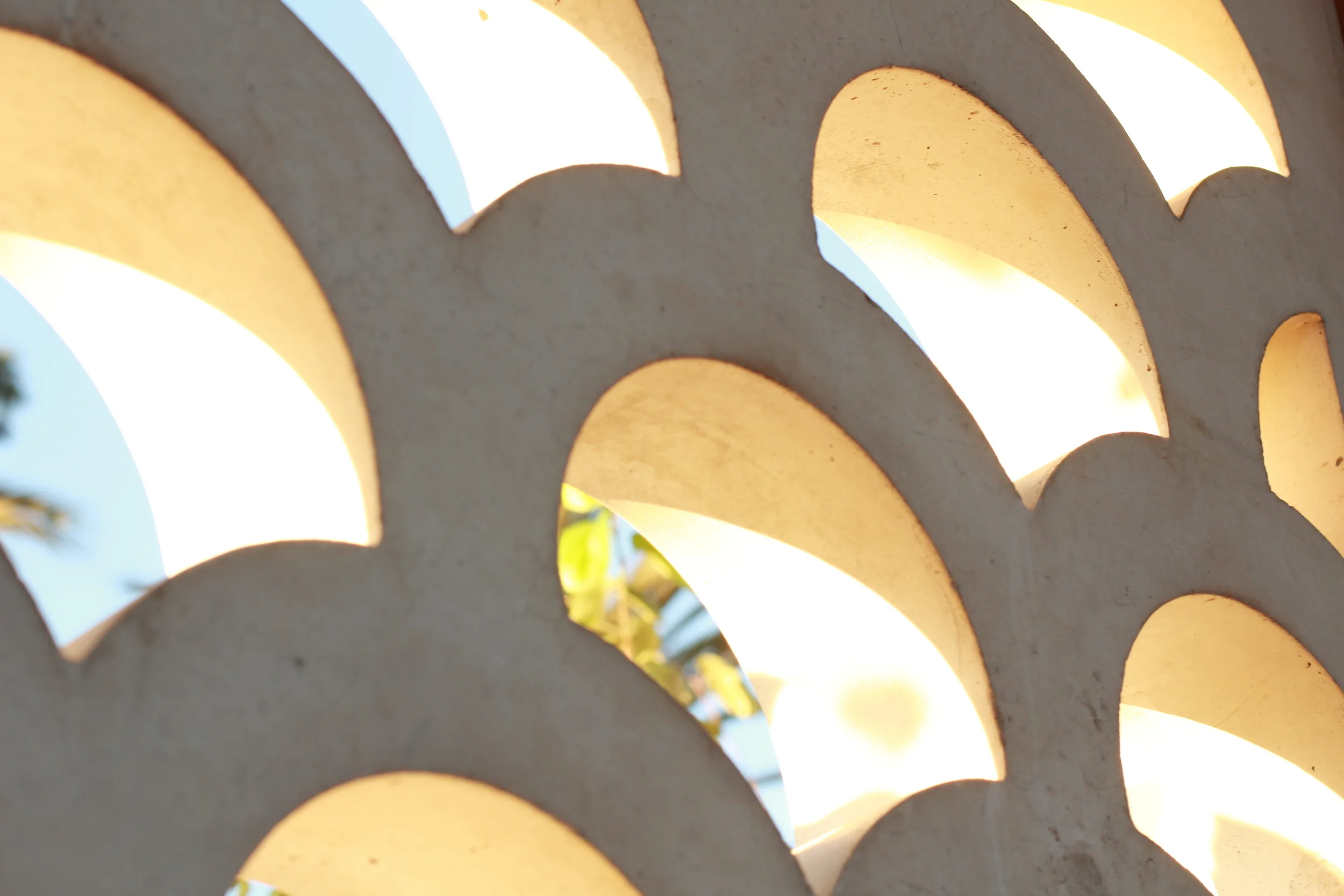 121125 Thanksgiving Getty 26.JPG