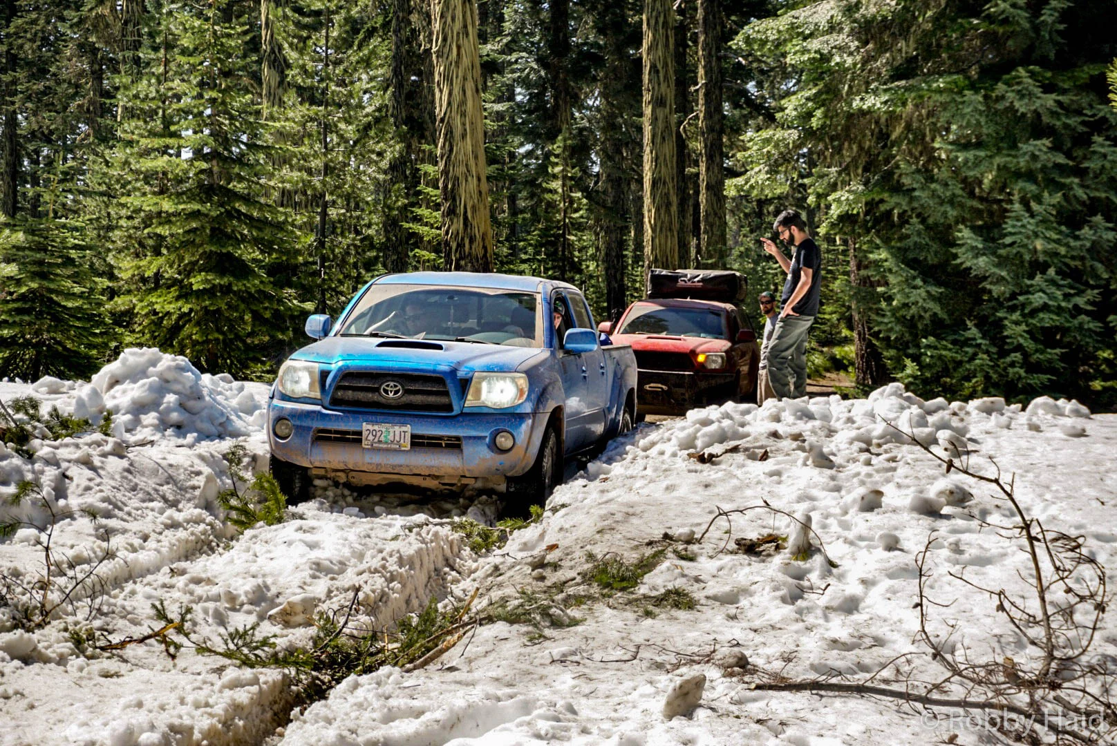 Blue Taco Snow_.jpg