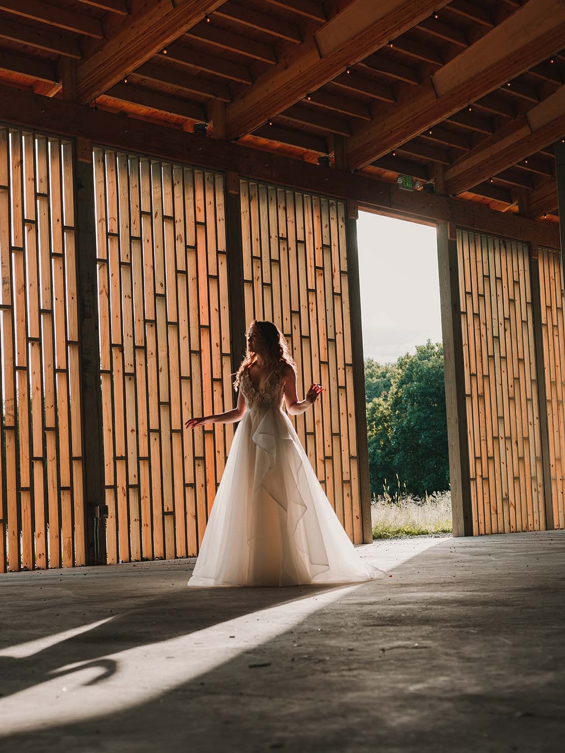Rebecca_Schoneveld_Iris_Gown_Organza_romantic_boho_fullskirt_deep_v_deepv_ballgown_dreamy_editorial_4.jpg