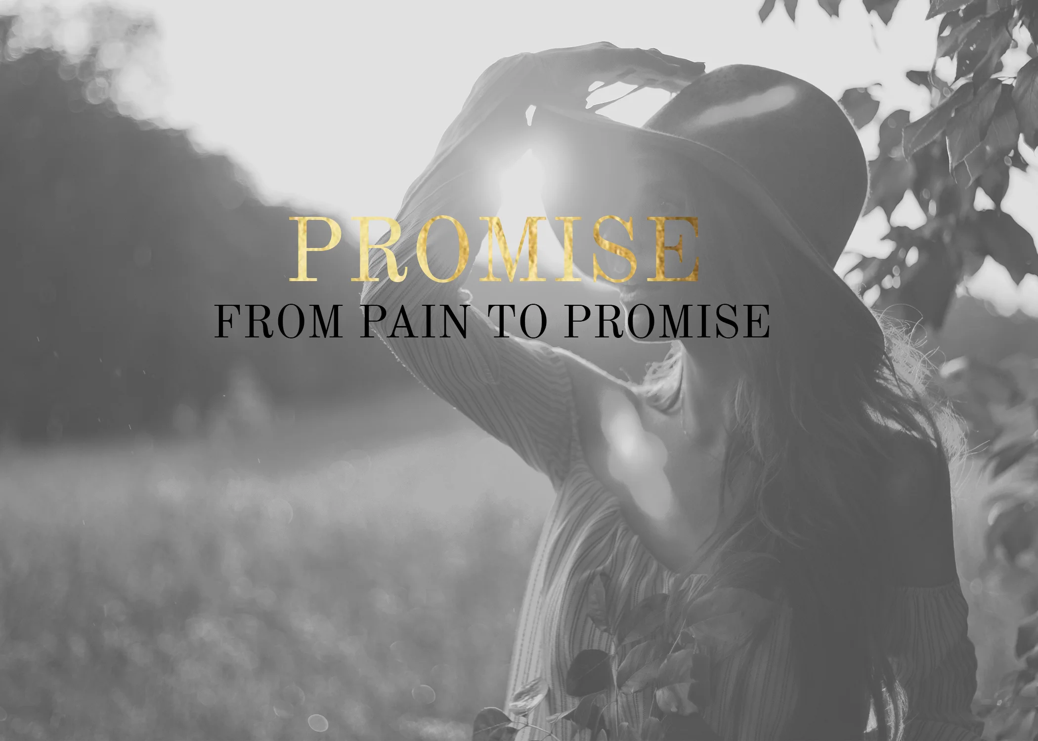 PROMISE9.jpg