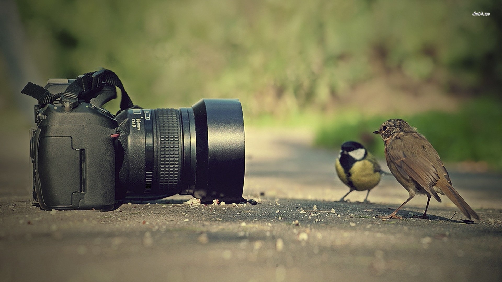 photography 2.jpg