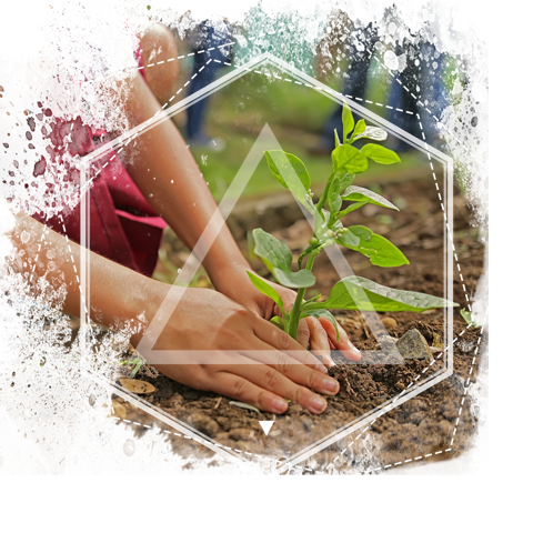 Environment Applications now open, Email S Palfrey on sue.palfrey@mahdloyz.org