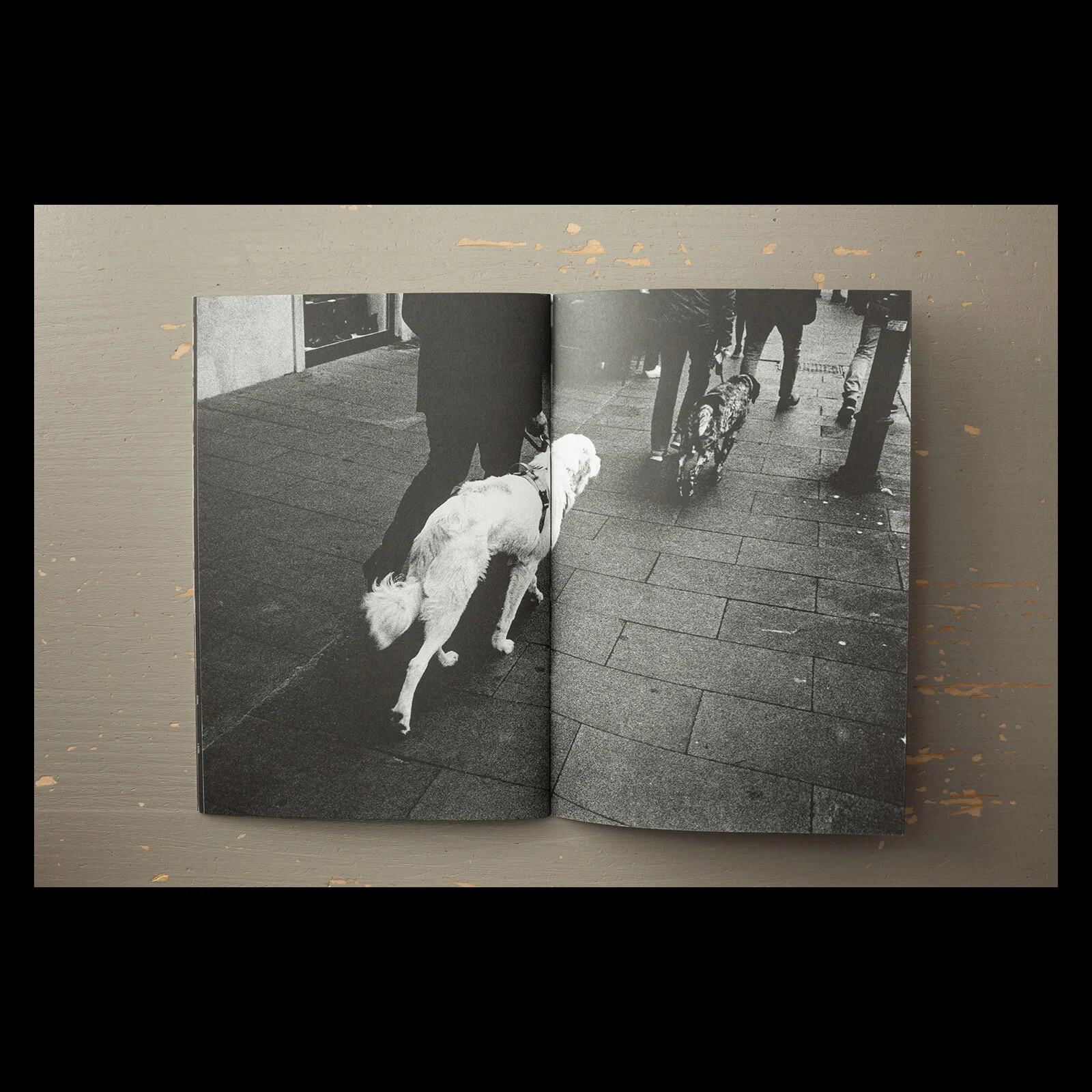 27DFEECE-4D1F-4718-9FB1-79FBEE5E2C6E