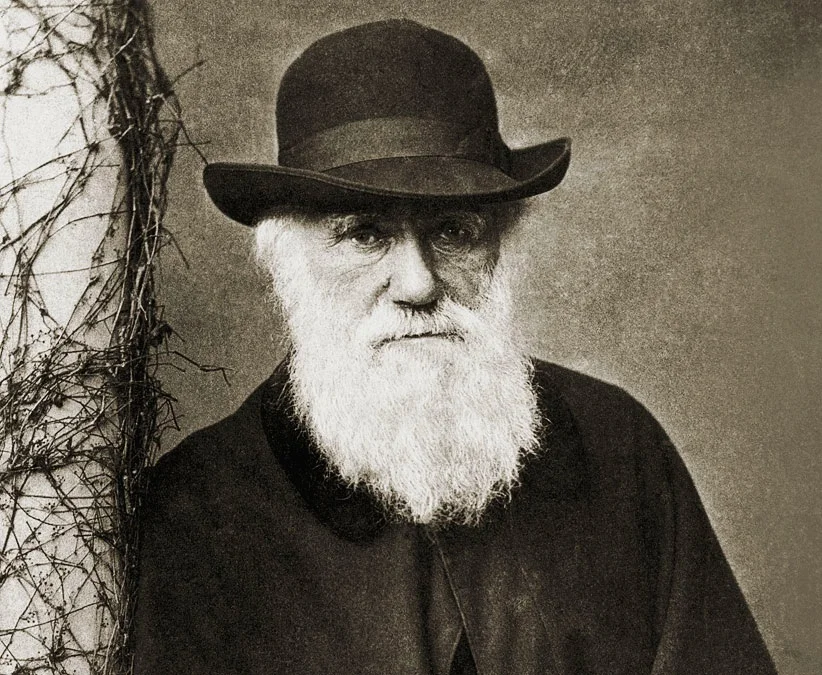 darwin.jpg