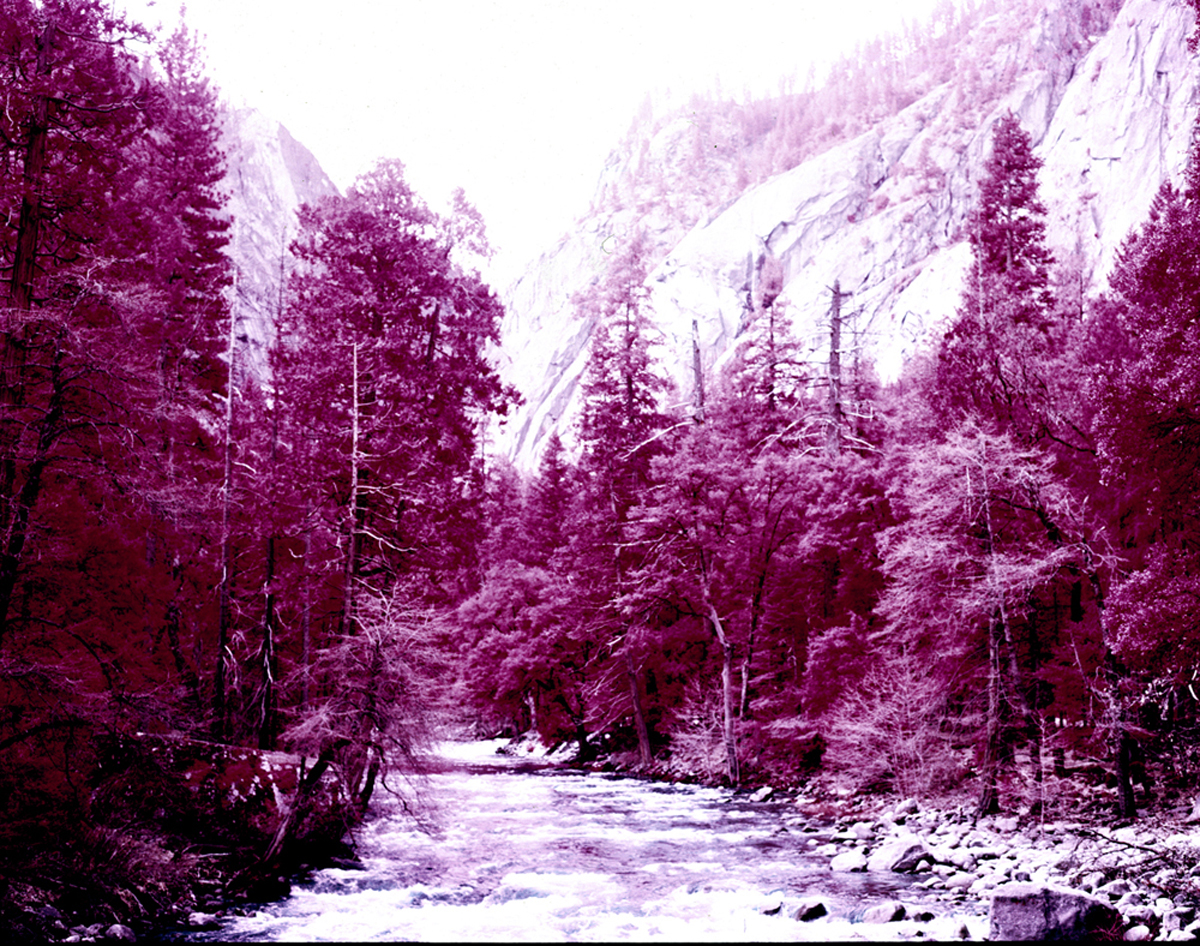 Yosemite 14.jpg
