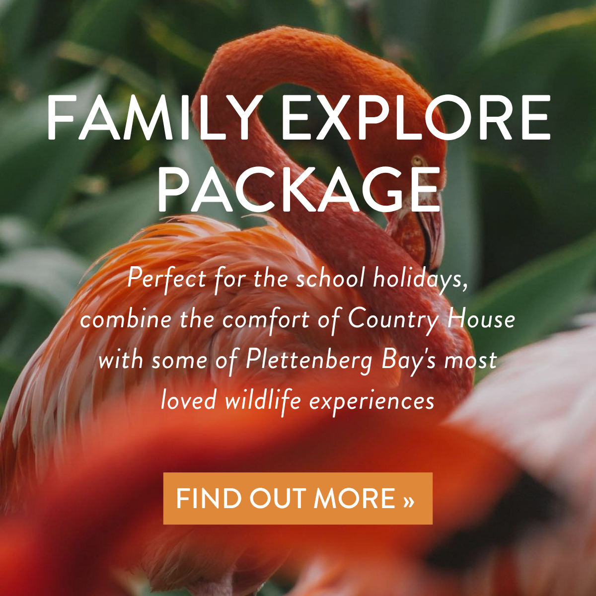 Family Explore Package 2026