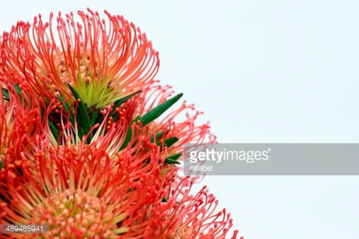 Photo by rafabel/iStock / Getty Images
