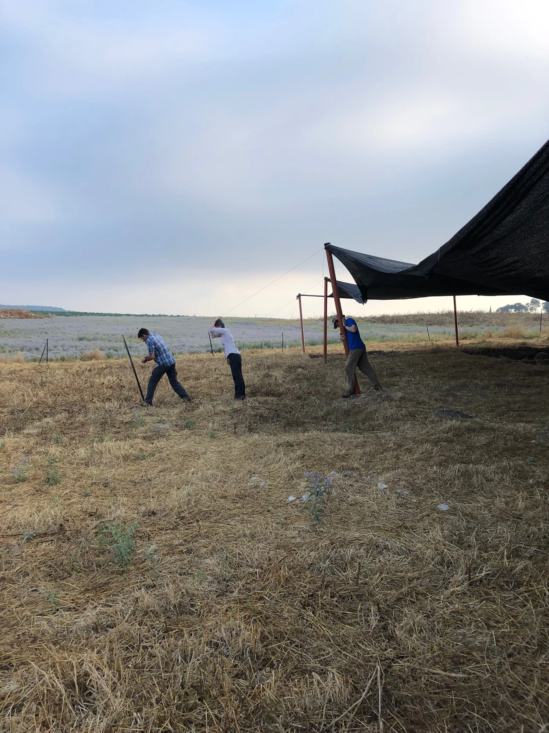 Hanging the shade cloth in Grid 94