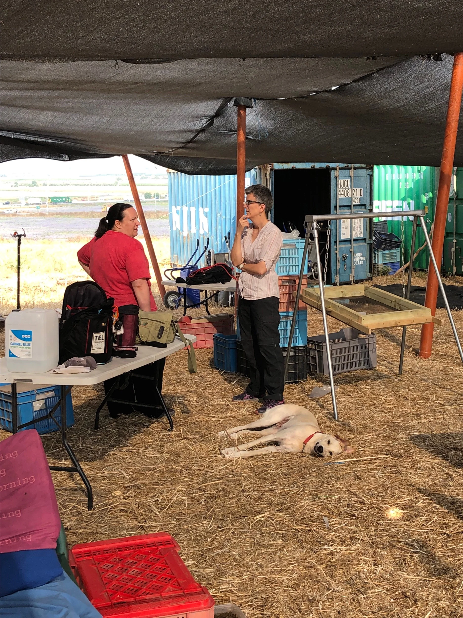 Dr. Krystal V.L. Pierce, Registrar and Pottery Compound Manager, and Dr. Tracy Hoffman, Grid Supervisor, discuss logistics