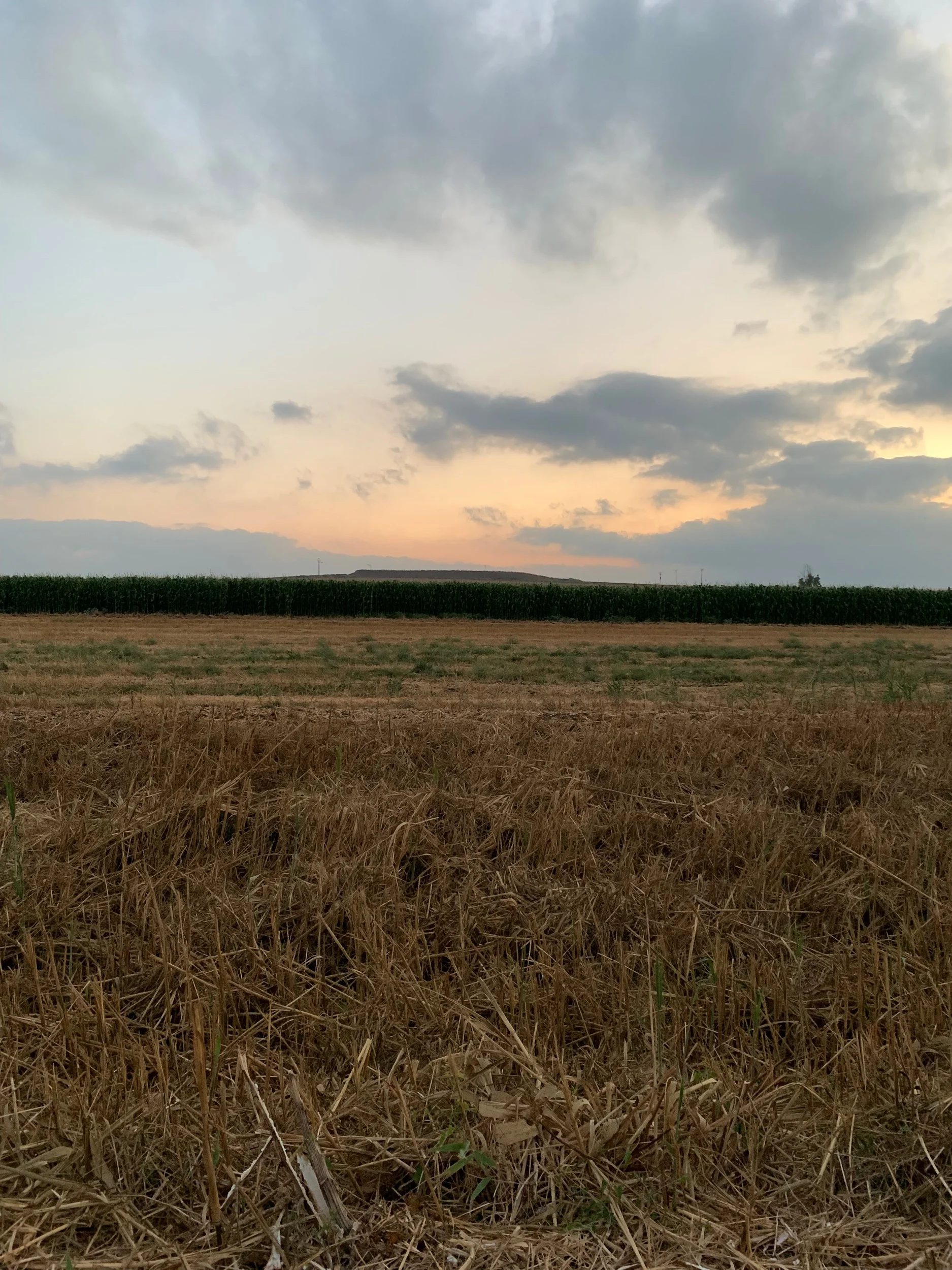 Mizra at sunset