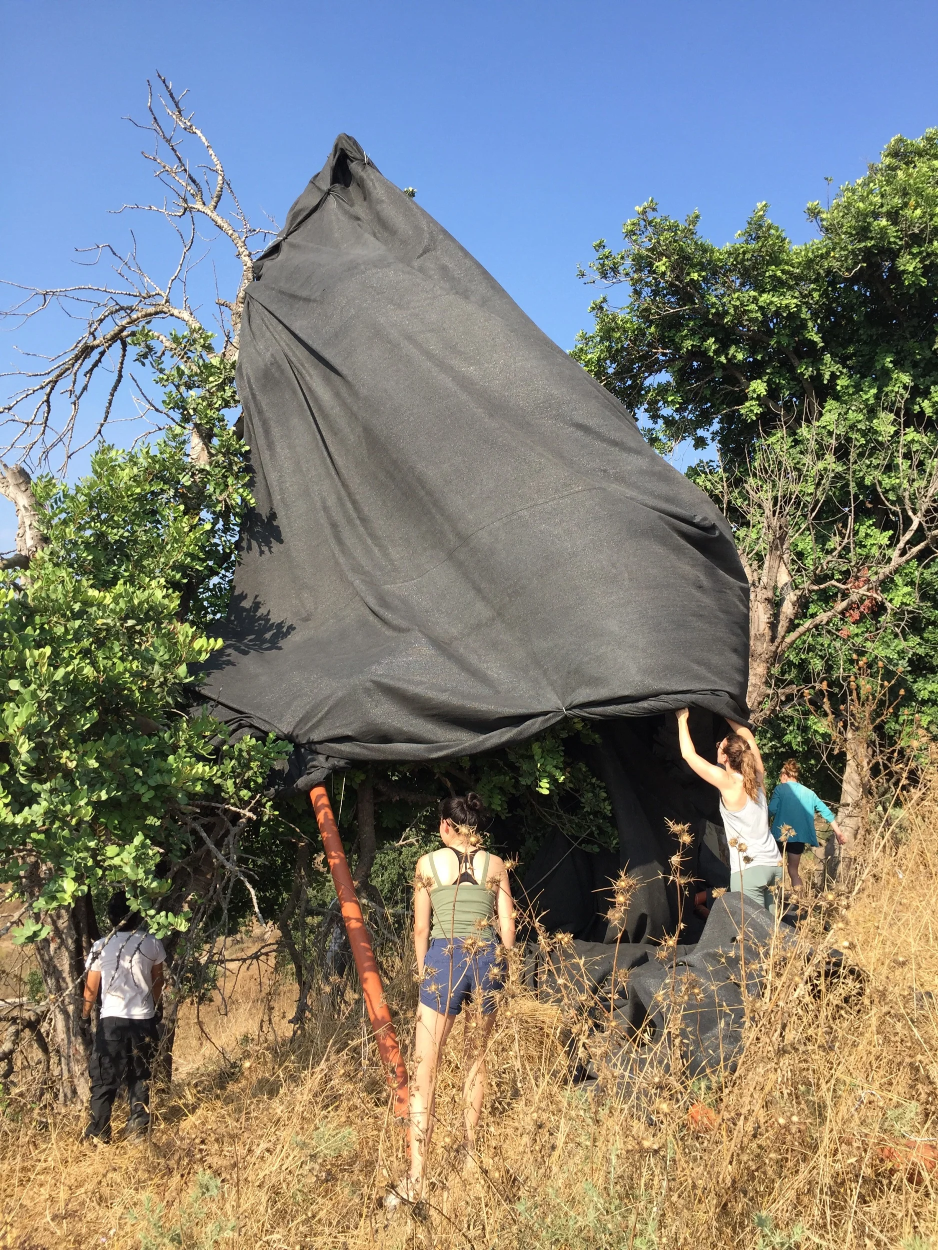 Shade cloth in a tree
