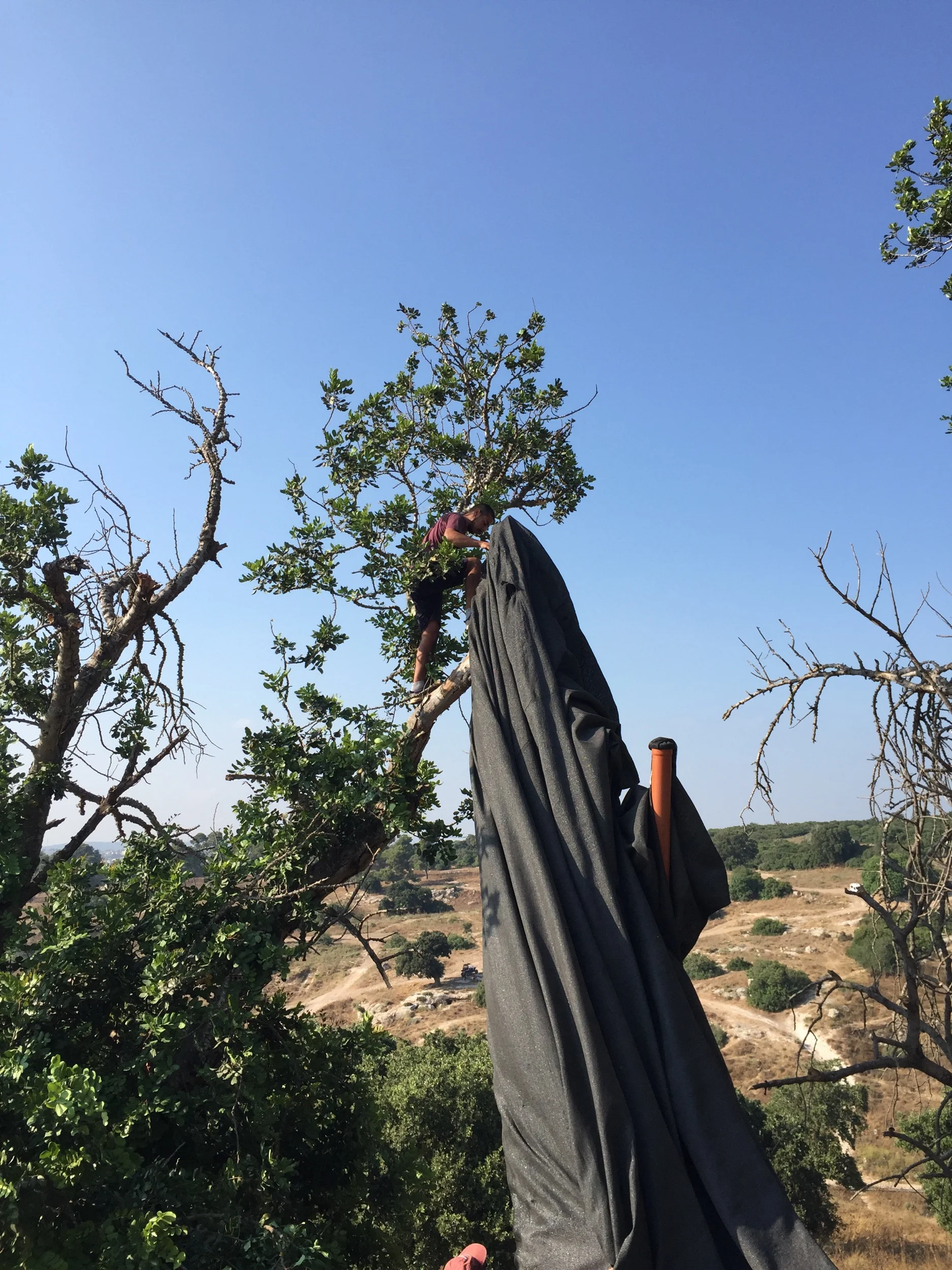Dislodging the shade cloth from the tree