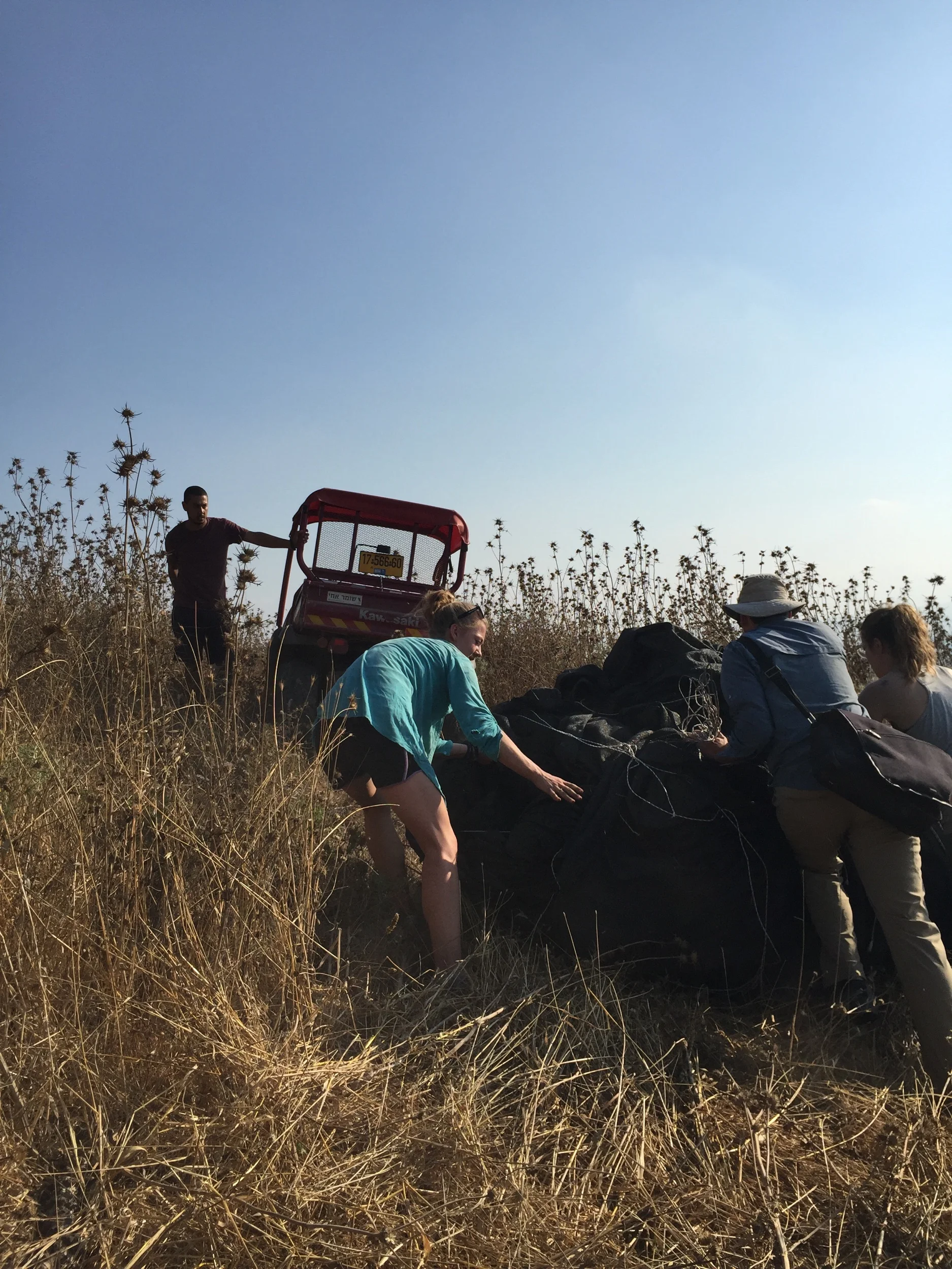 Staff roll the shade cloth up the hill towards the ATV to load it up for its trip back to the grid