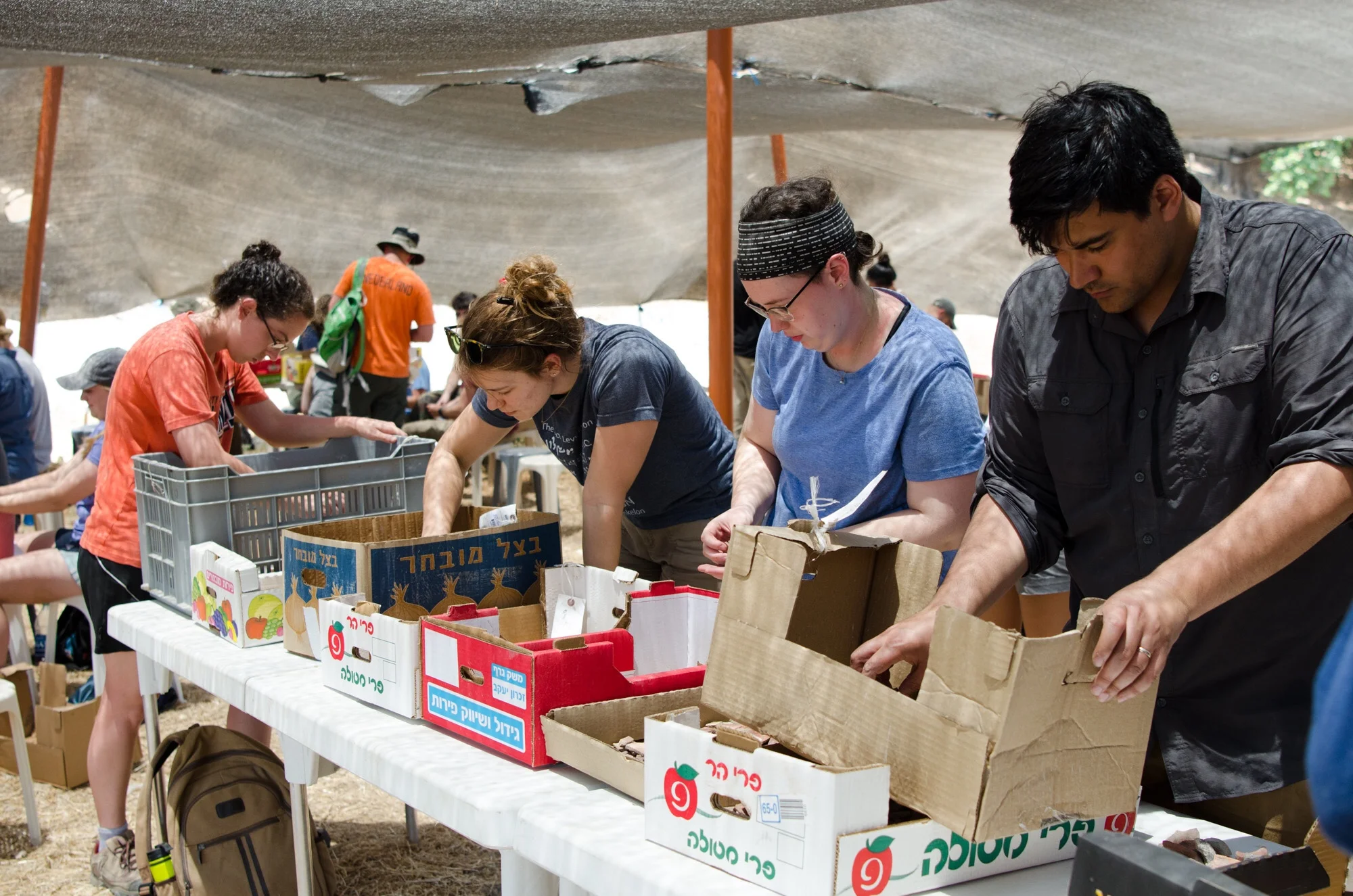Abbey Walker, Emily Erickson, Marianna Nichols and Jordan Ryan, Grid 23/24 supervisors, sort pottery in preparation for pottery reading.