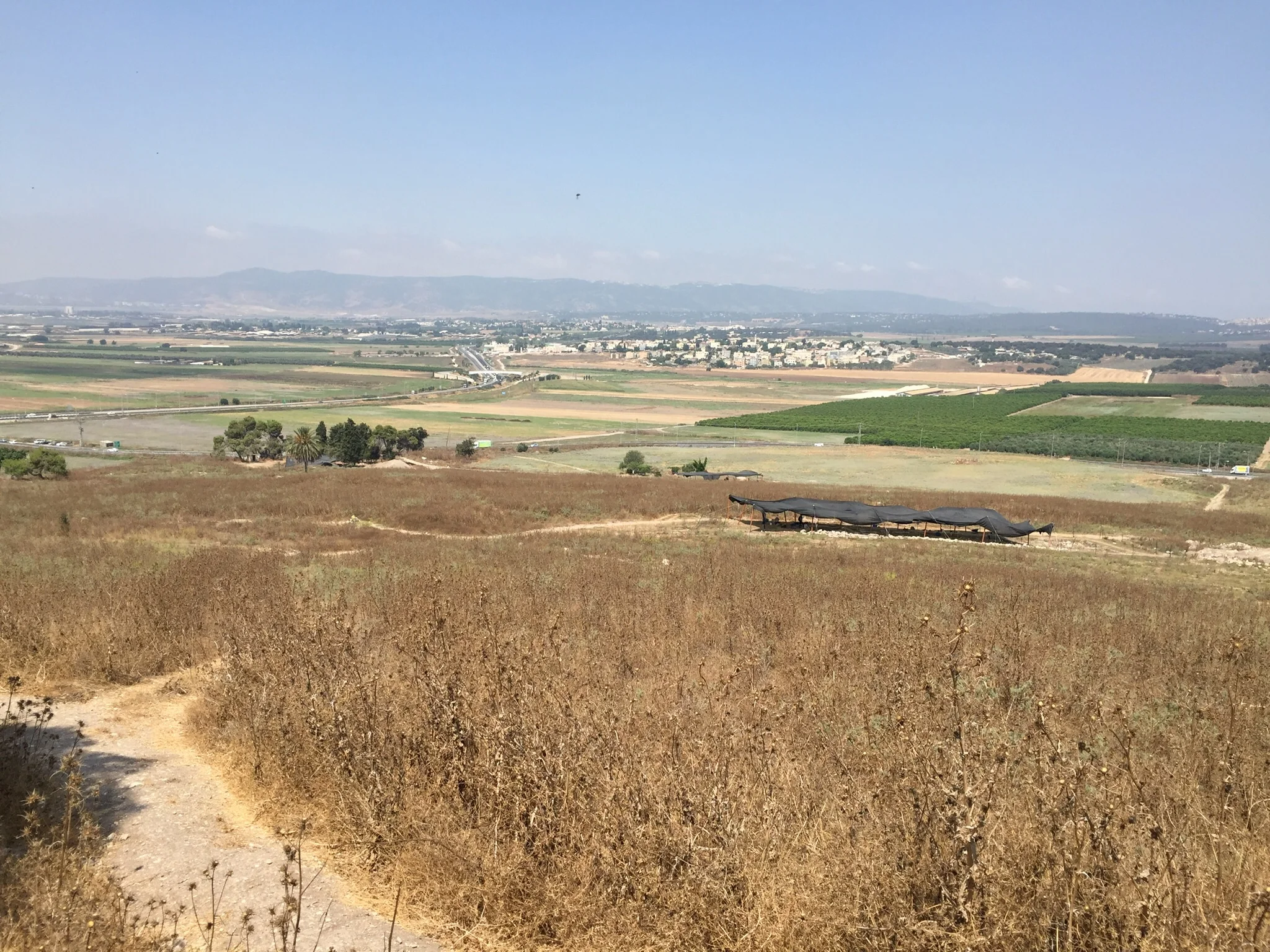 Tel Shimron