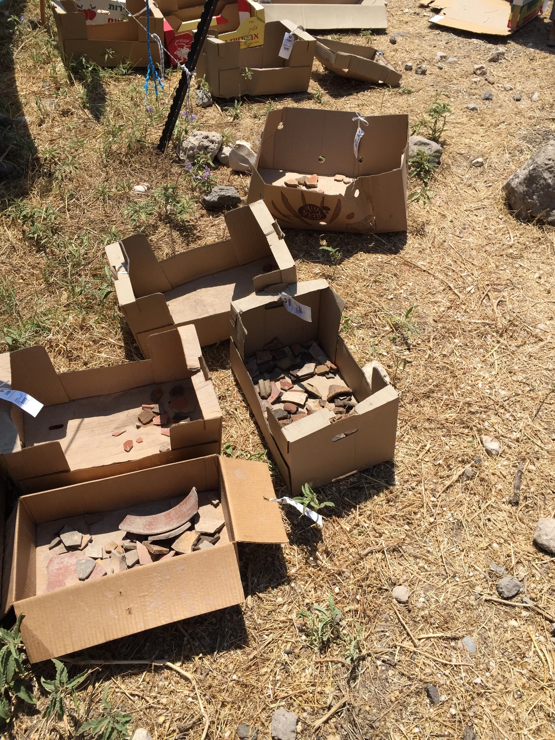 Pottery drying in the sun