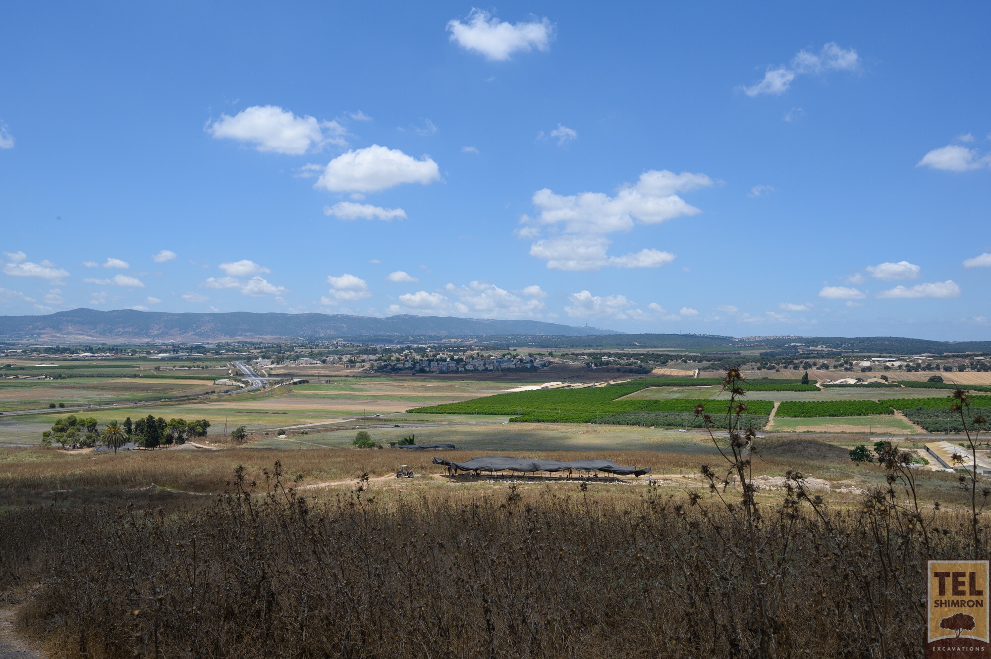 The view from Grid 33