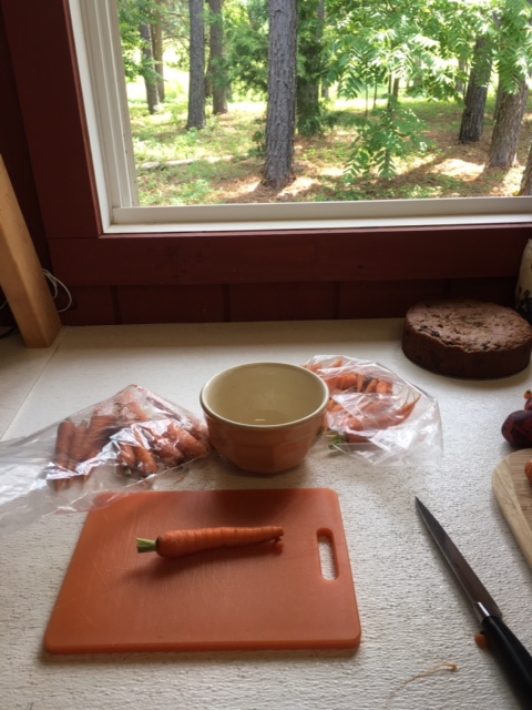 Carrots ready to be roasted.
