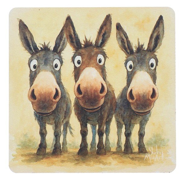 Shirley MacArthur Just Donkeys Coaster