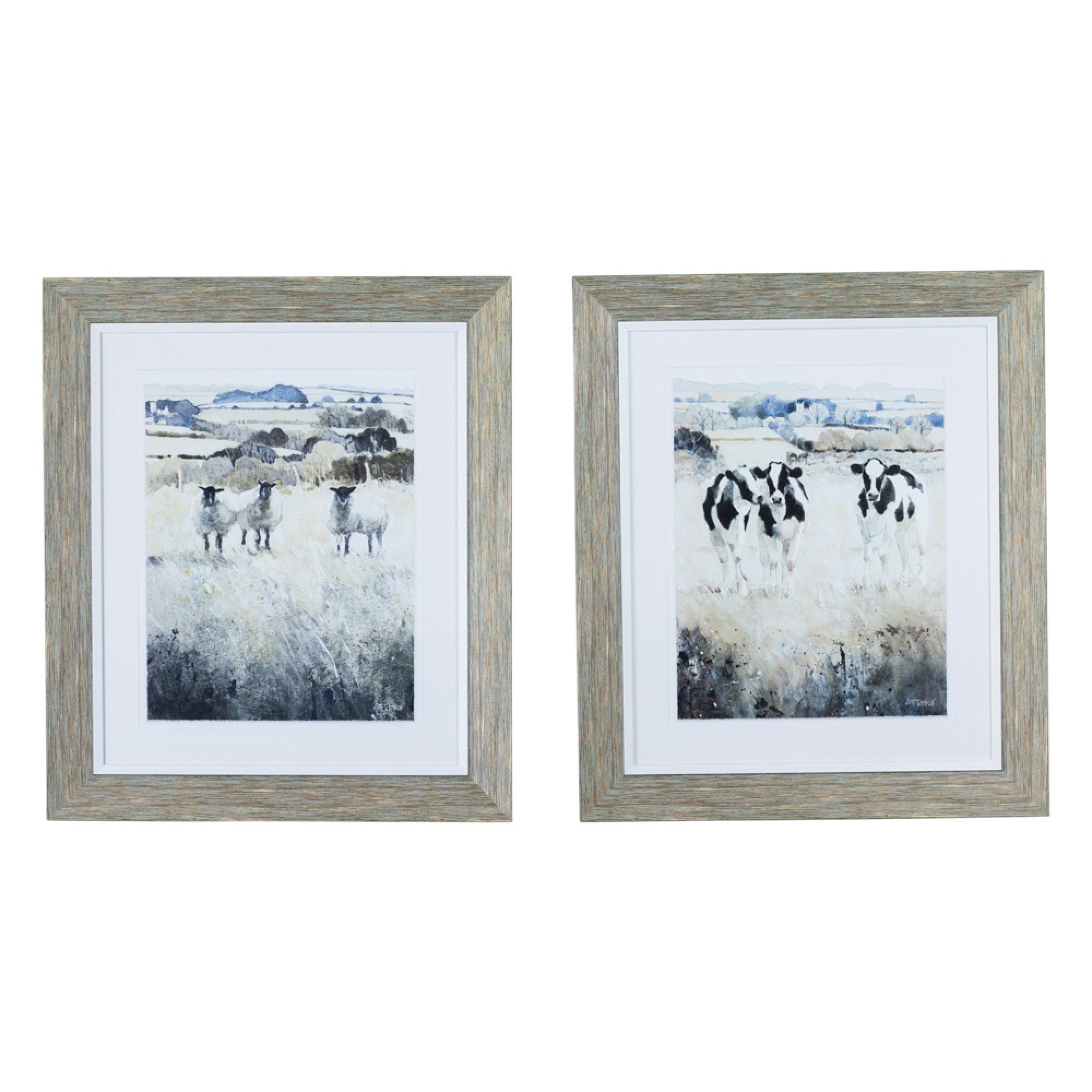 Framed Print Curious Chatter 58x50cm 2 Assorted