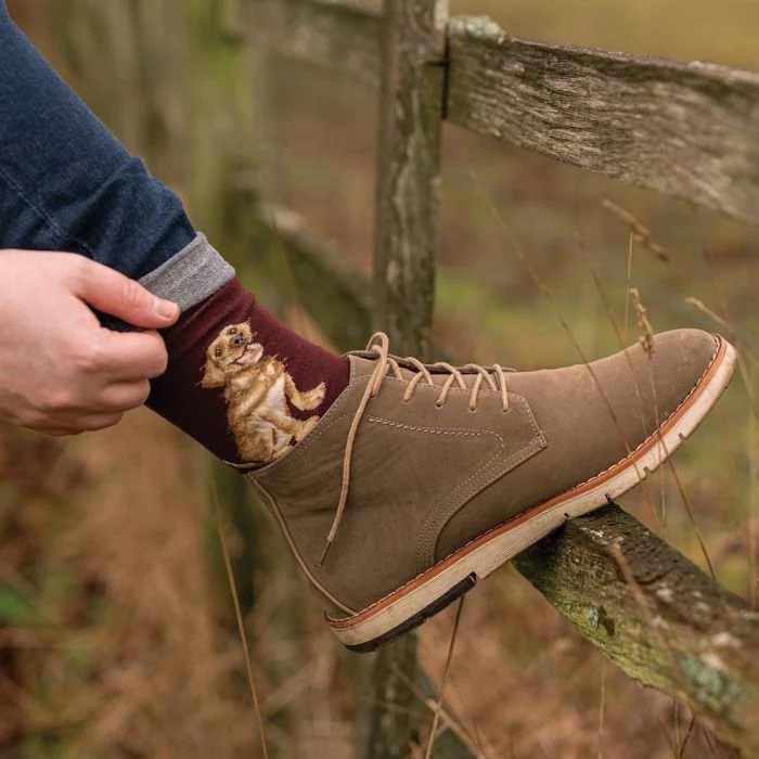 Good as Gold' Labrador Men's Socks
