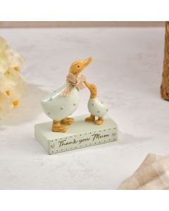 Thank You Mum Duck and Baby