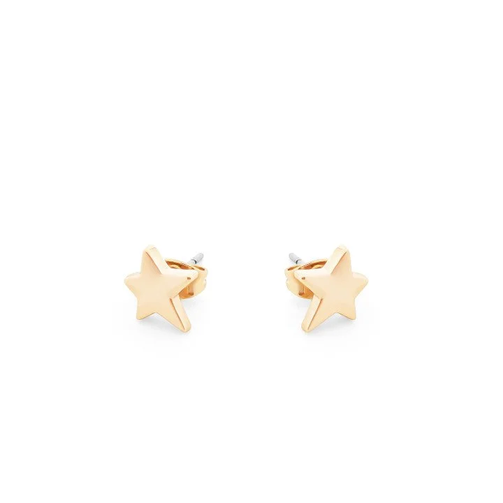 165014_TC_STAR_STUD_EARRINGS_GOLD_BE16707_2__59321.jpg