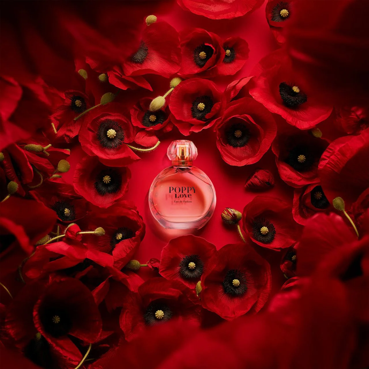POPPYLOVE2__00439.jpg