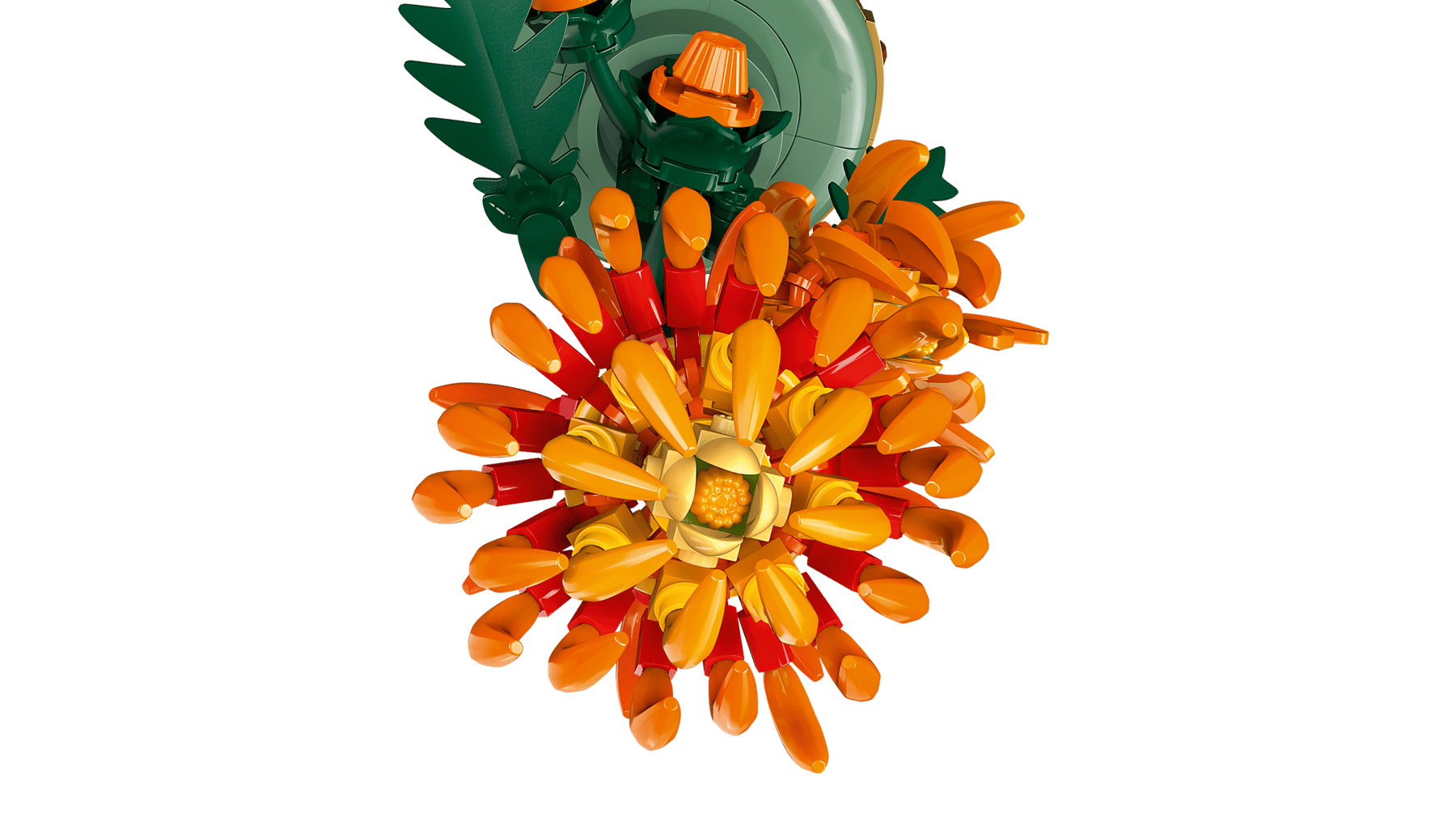 10368_WEB_SEC02_NOBG.png