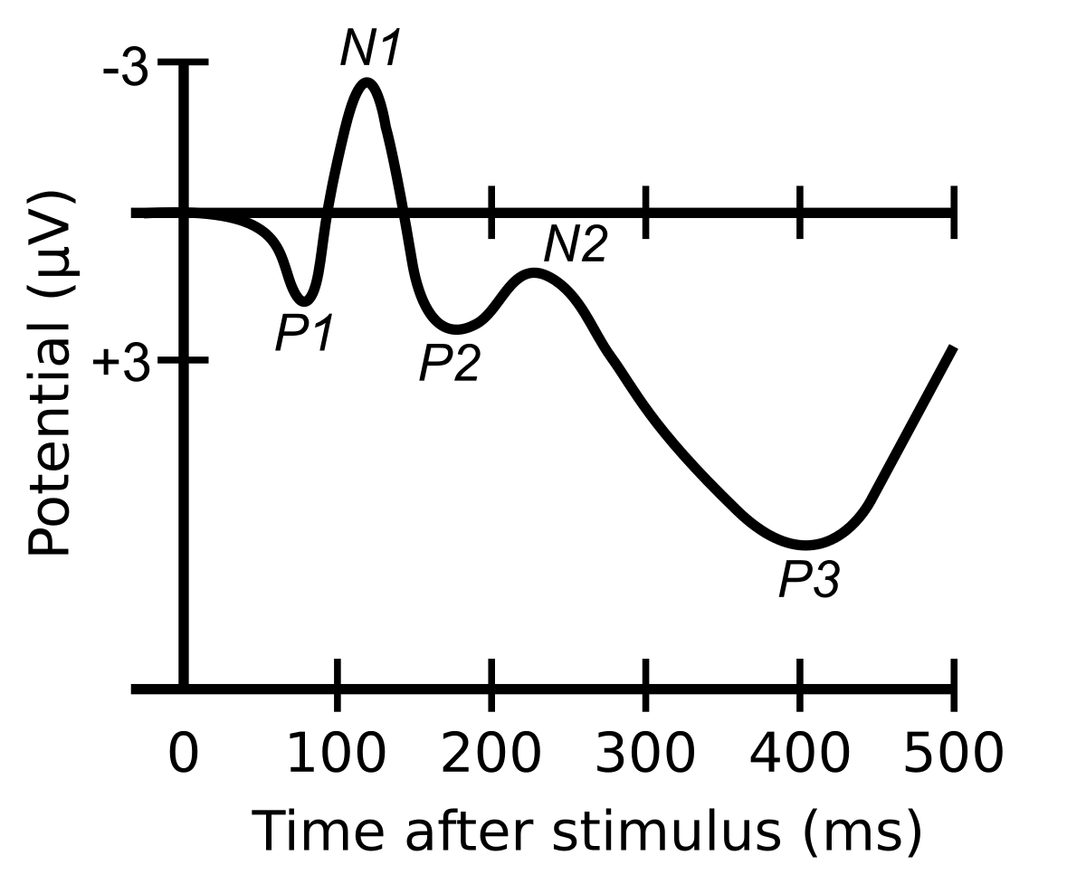 ERSP wave