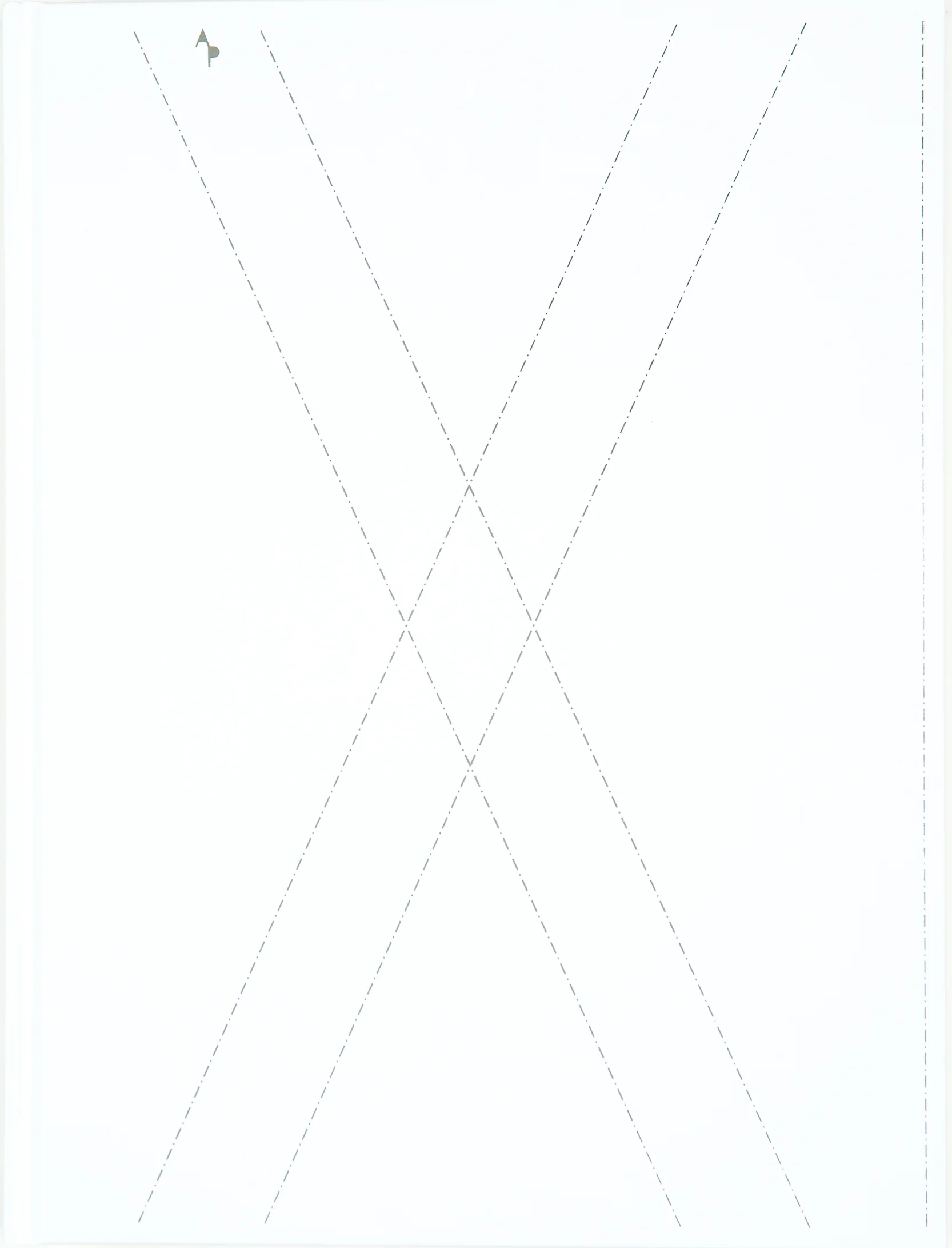 The hard case cover was white matte with silver foil stamping. depicting the roman numeral 21.