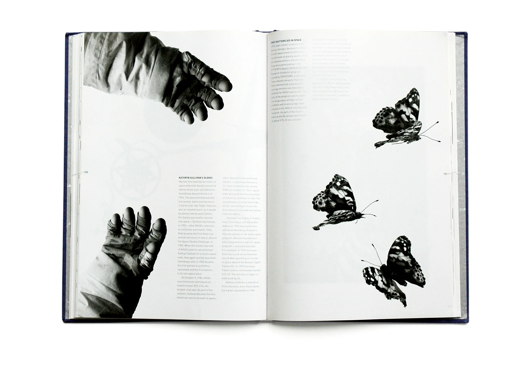 Artifacts-5-butterflies.jpg