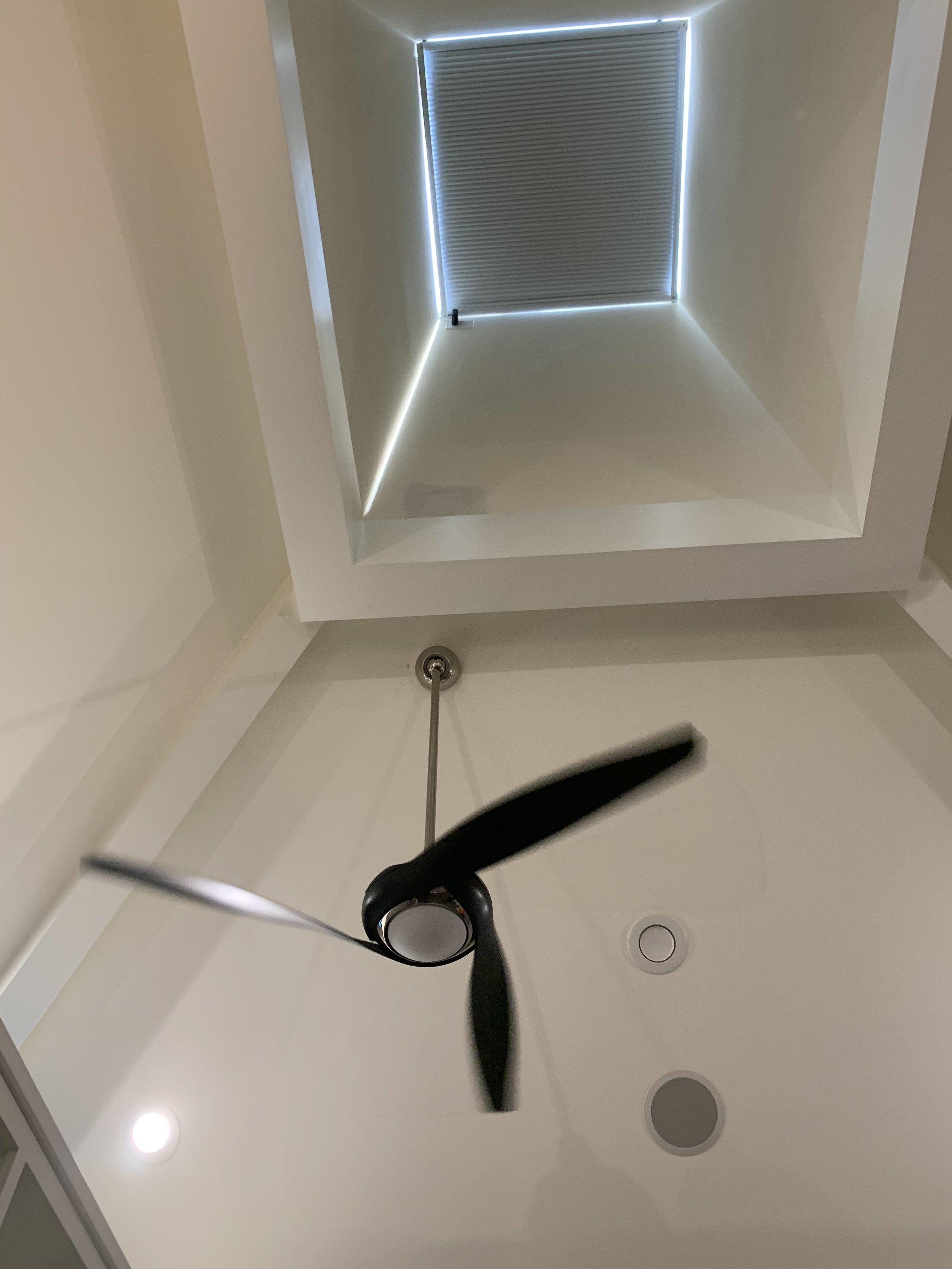 IMG_3015.jpeg