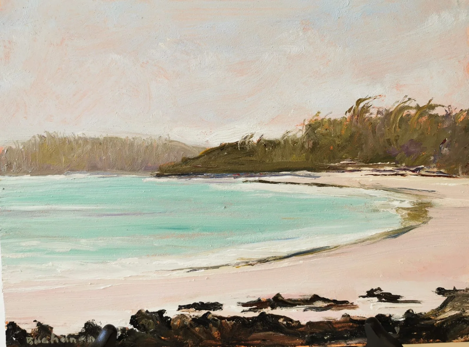 LOW TIDE AT POND ROCK