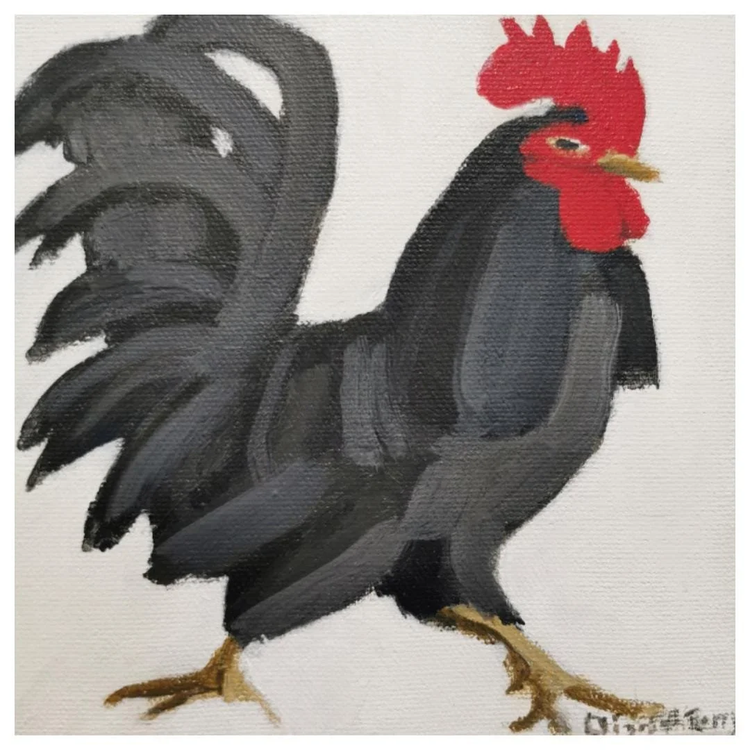 BLACK ROOSTER (22-323)
