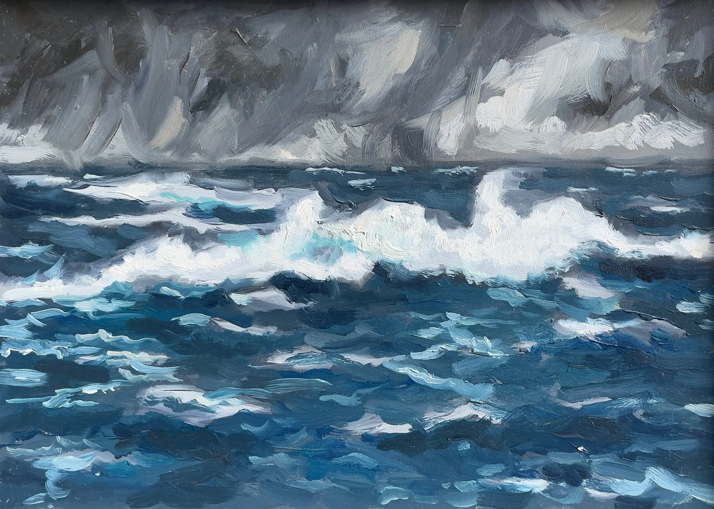 SARGASSO STORM