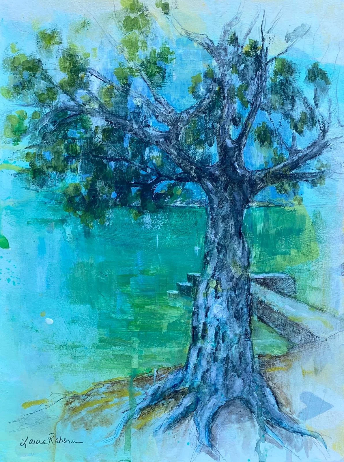 MY FAVORITE BUTTONWOOD, 2025