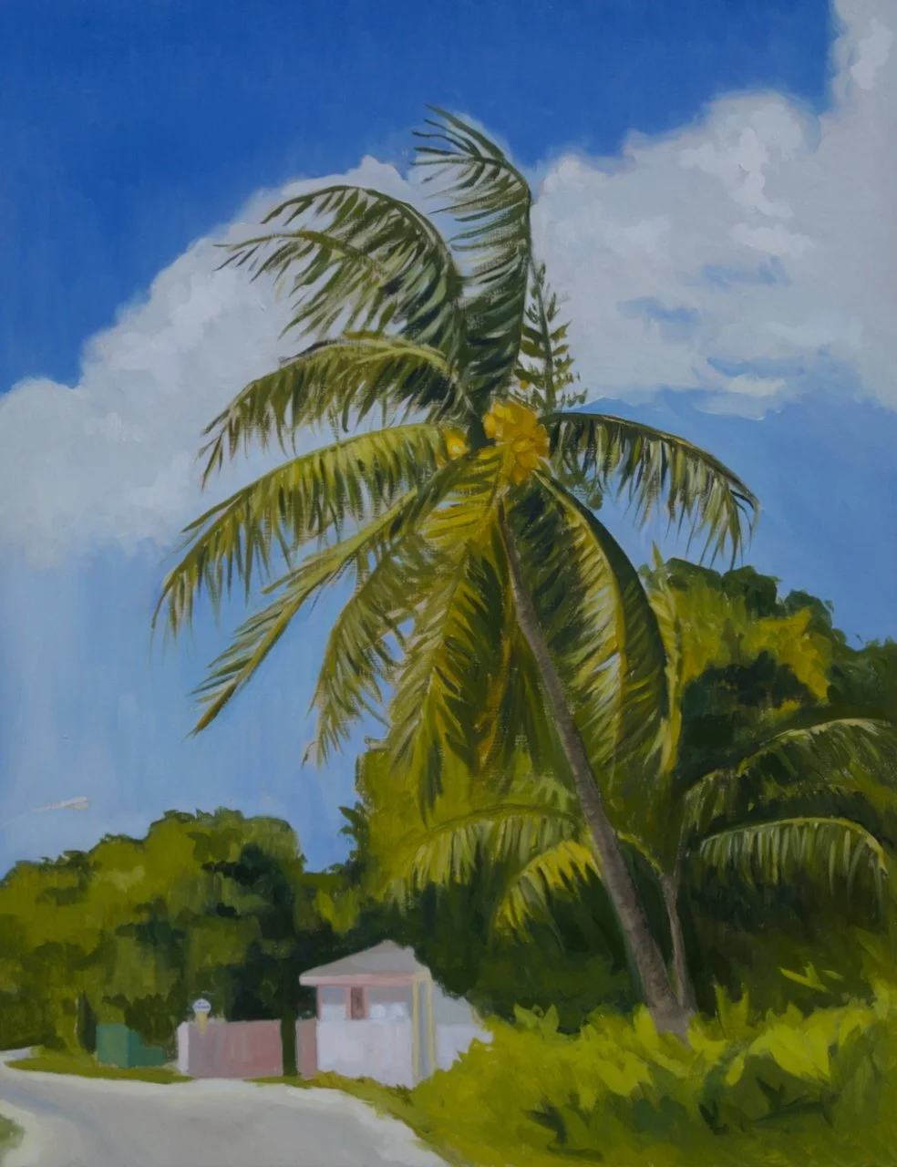 ICE CREAM BLUFF, 2024