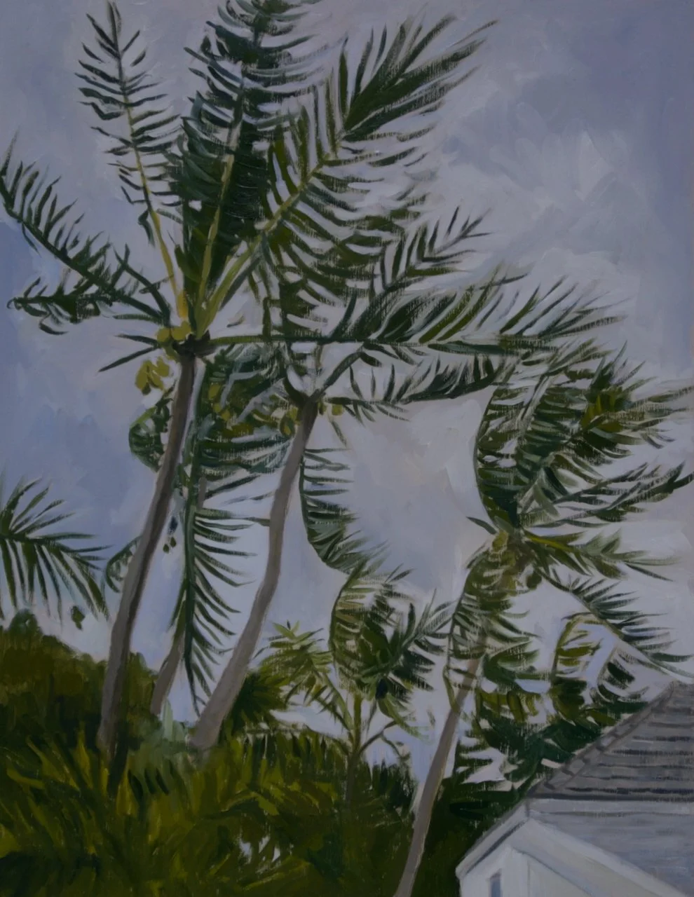 YOUNG PALMS IN STORM, 2024