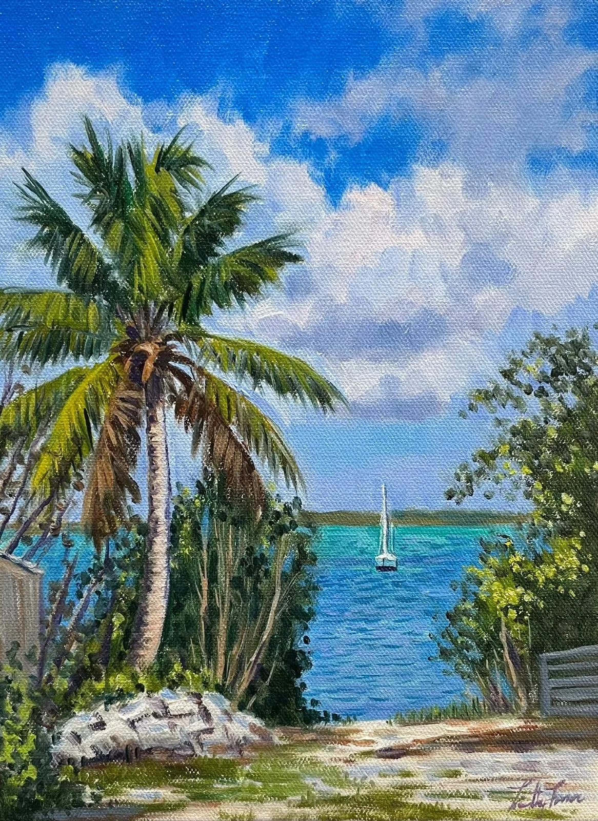 ISLAND VIEWS, 2025