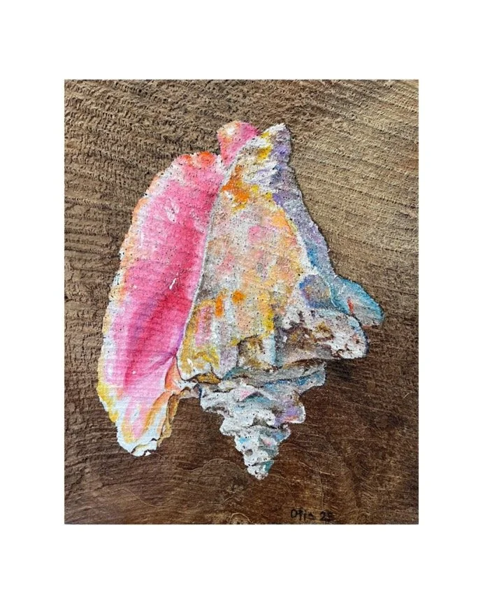 CONCH SHELL III'', 2025