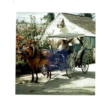 ''Albert With Nancy'', 1967