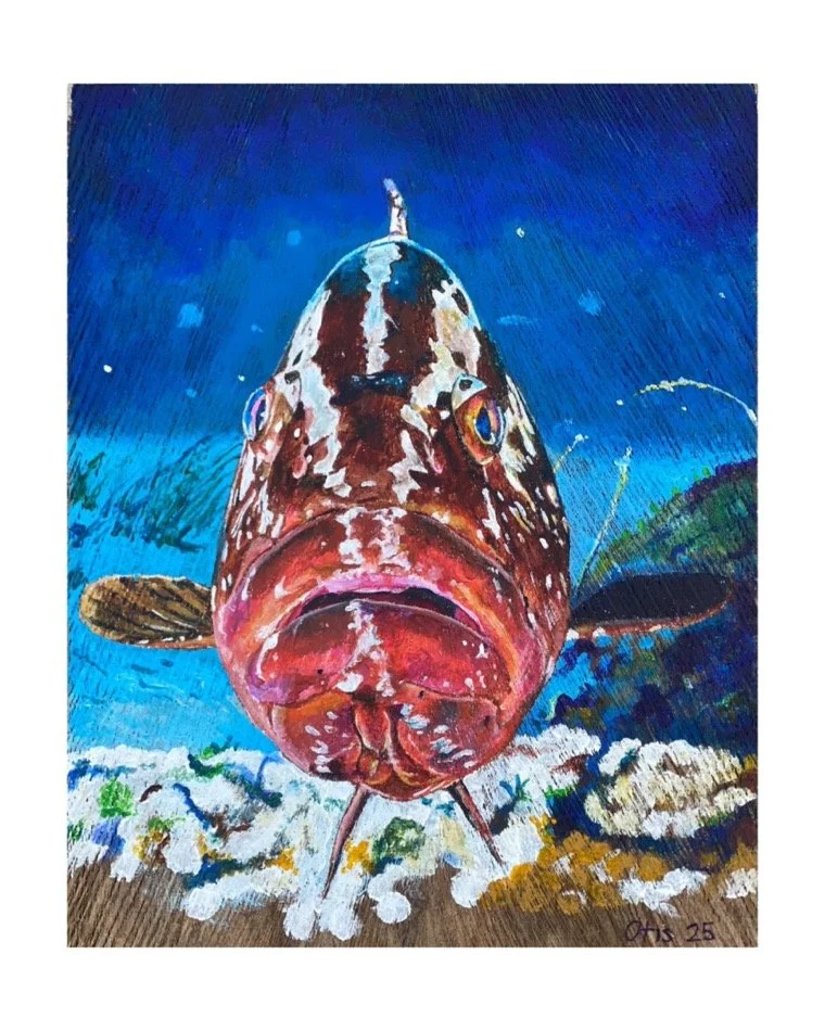 ''GROUPER PORTRAIT'', 2025
