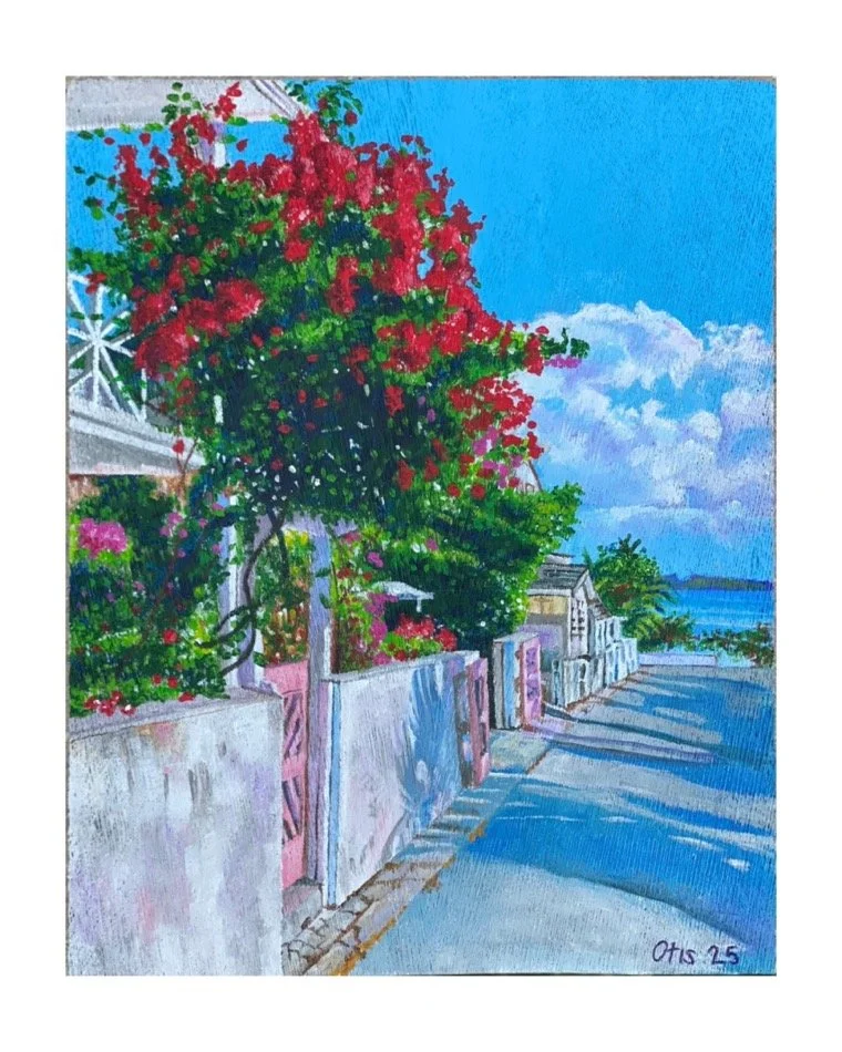 ''THE LIGHT DOWN PRINCESS STREET'' 2025 (GRASS ALLEY)