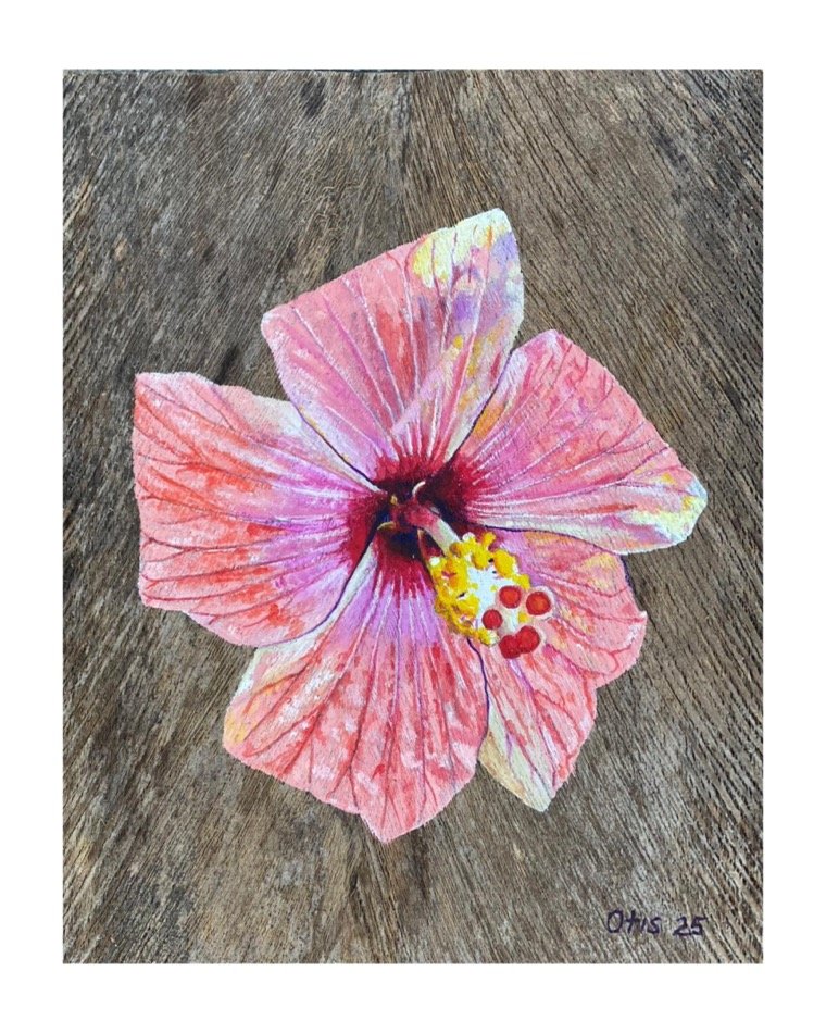 ''HIBISCUS II'', 2025