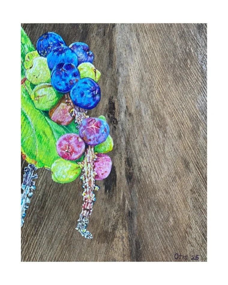 ''SEAGRAPES IV'', 2025