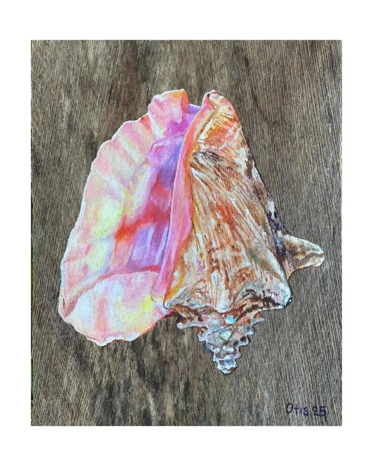 ''CONCH SHELL V'', 2025