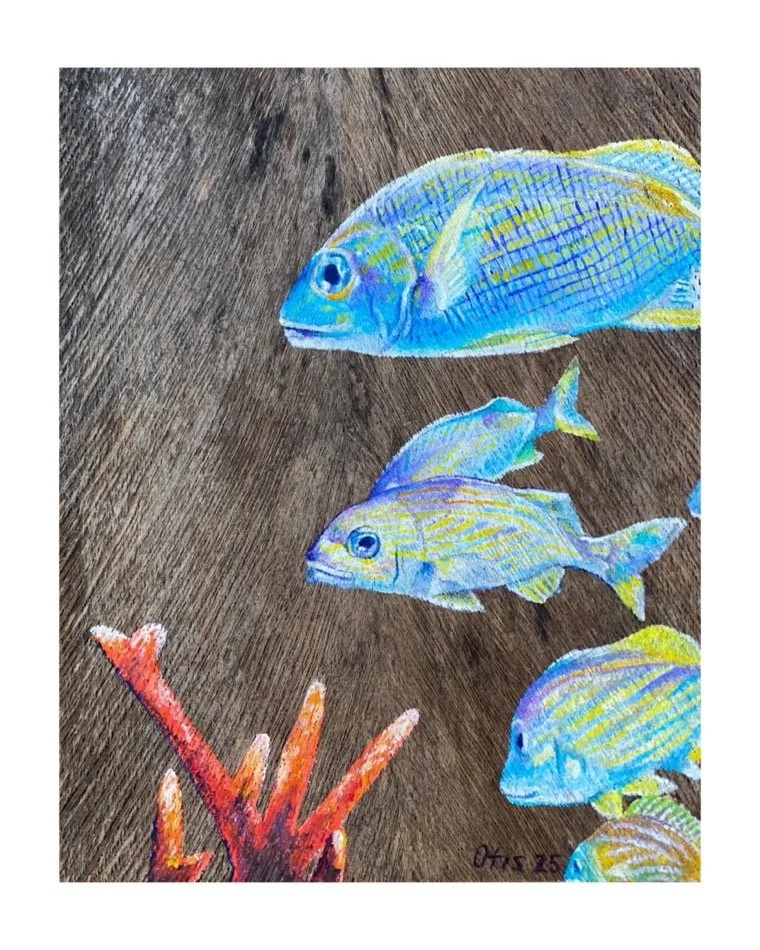 ''SCHOOL OF FISH'', 2025