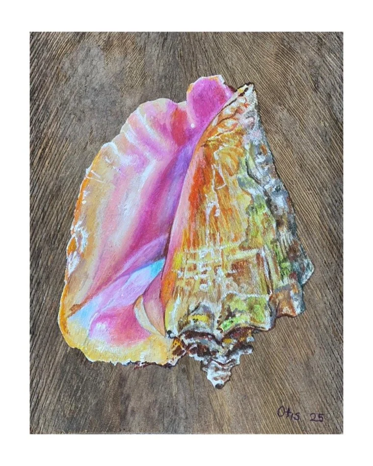 ''CONCH SHELL IV'', 2025