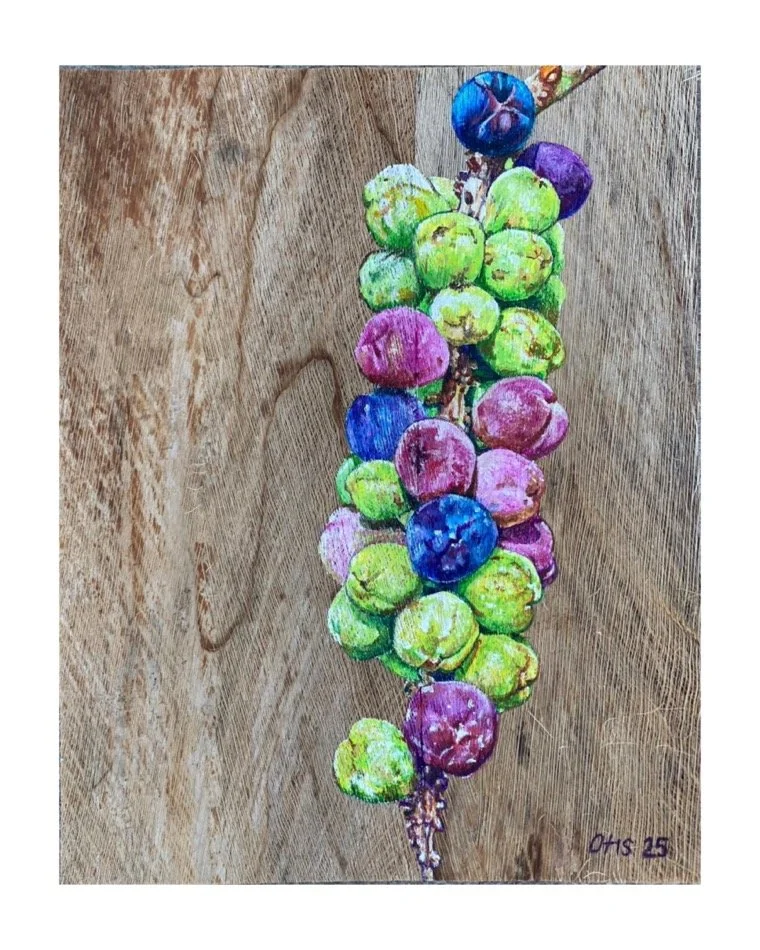 ''SEAGRAPES III', 2025